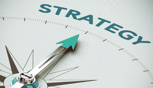 Strategy Department Personnel